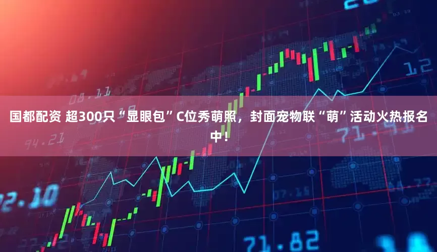 国都配资 超300只“显眼包”C位秀萌照，封面宠物联“萌”活动火热报名中！