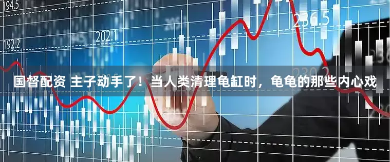 国督配资 主子动手了！当人类清理龟缸时，龟龟的那些内心戏