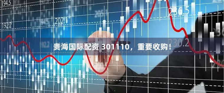 贵海国际配资 301110，重要收购！